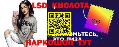 прущие грибы Новозыбков