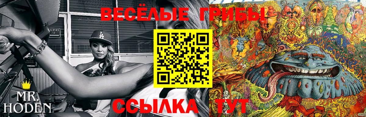 Псилоцибиновые грибы GOLDEN TEACHER  Псилоцибиновые грибы ЛСД  Углич  Вход с VPN 